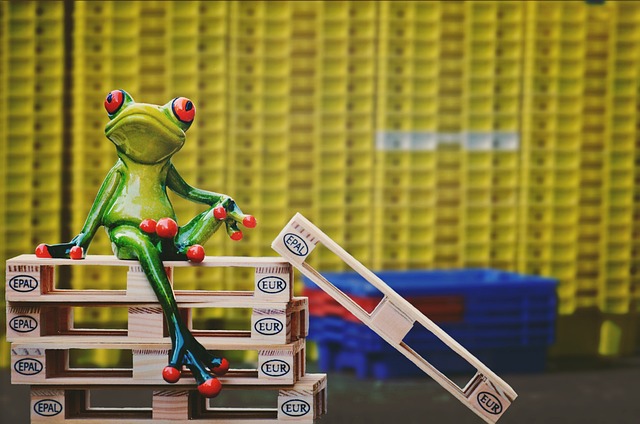 Stěhování není sranda.