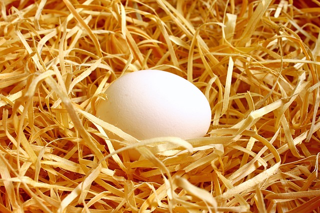 vejce v hnízdě