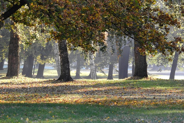městský park